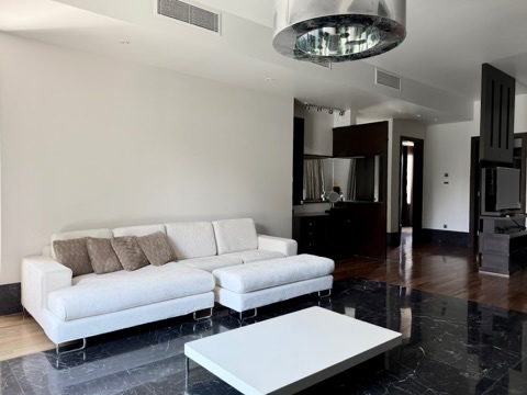 Presidential suite living